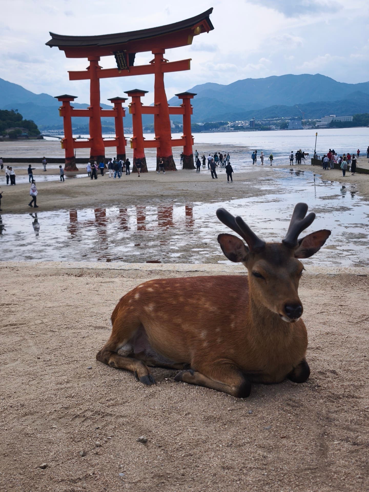 Quiet Japan & Coastal Paths