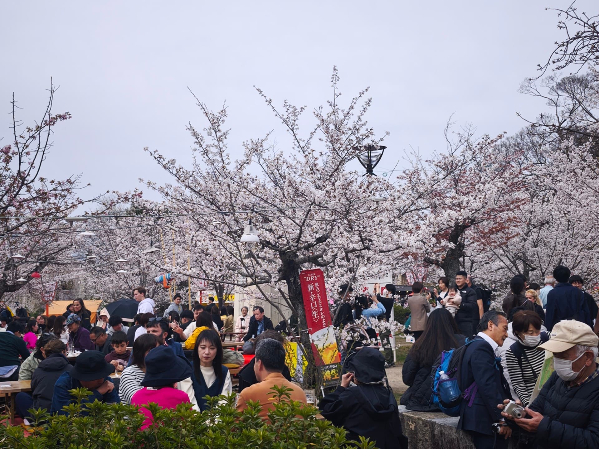 Osaka Flavours & Backstreets